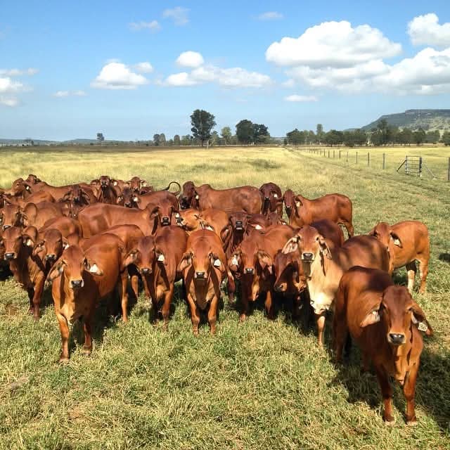 Ranch life at Osotua 11
