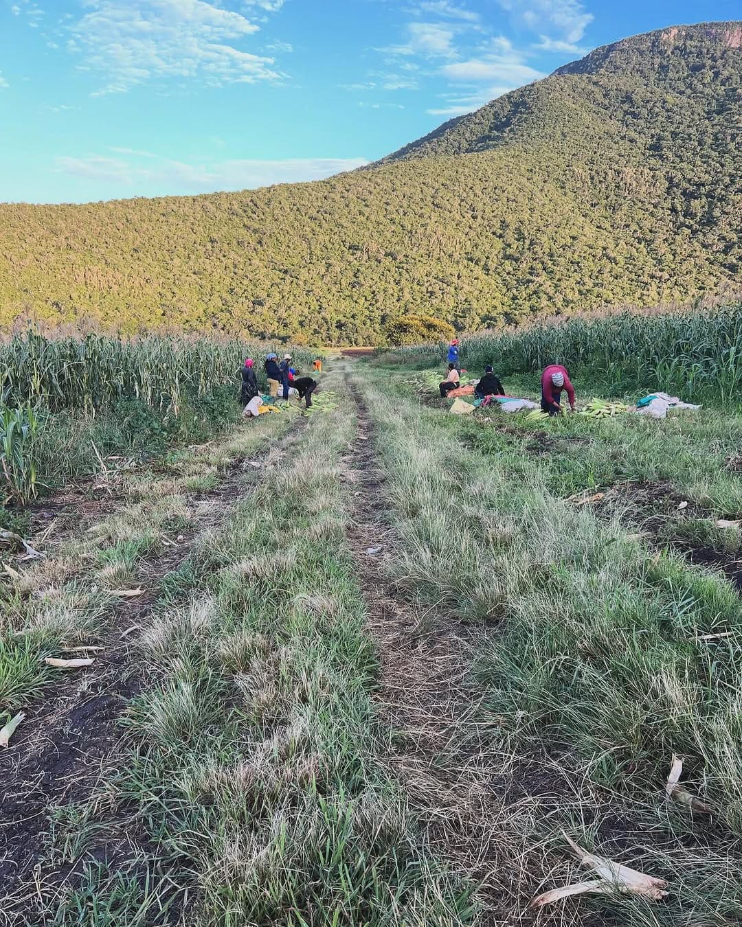 Ranch life at Osotua 14