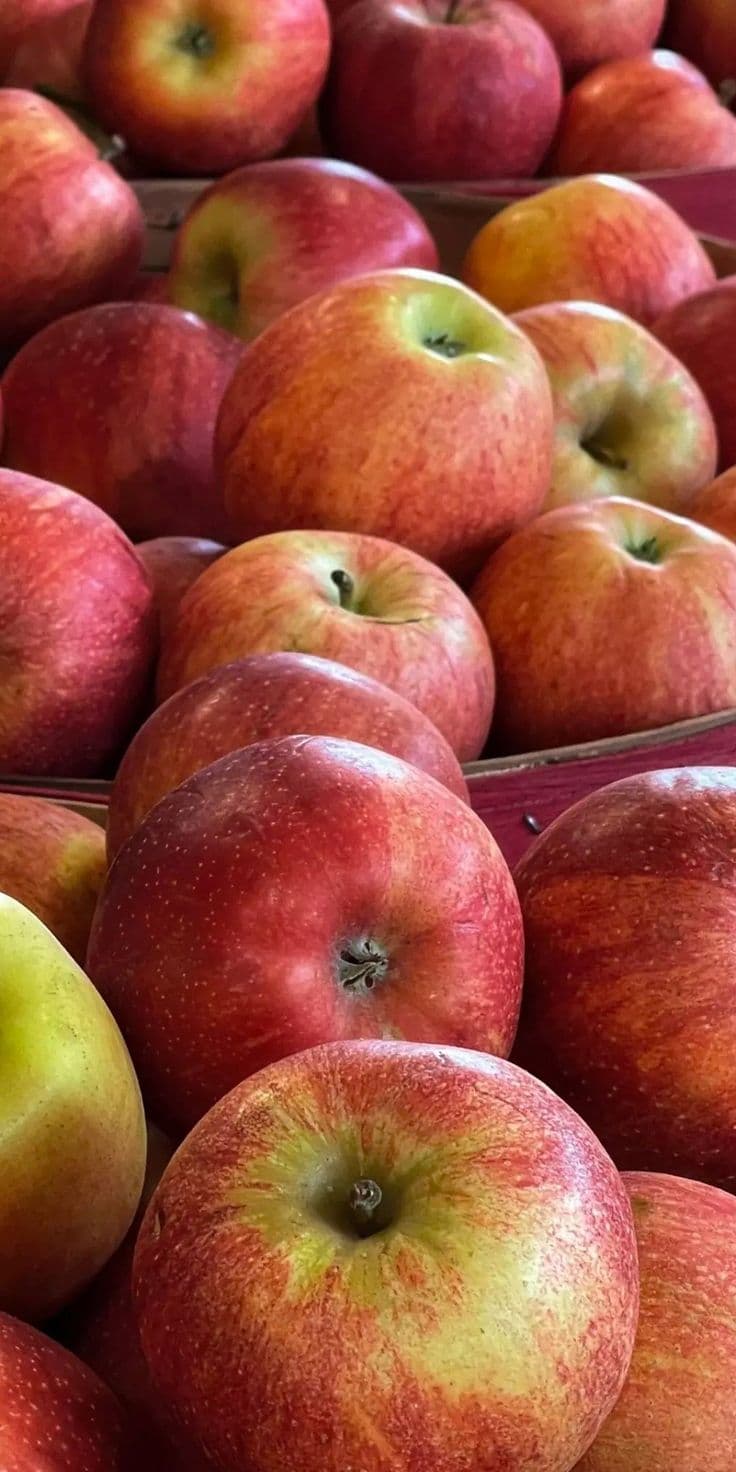 Apples