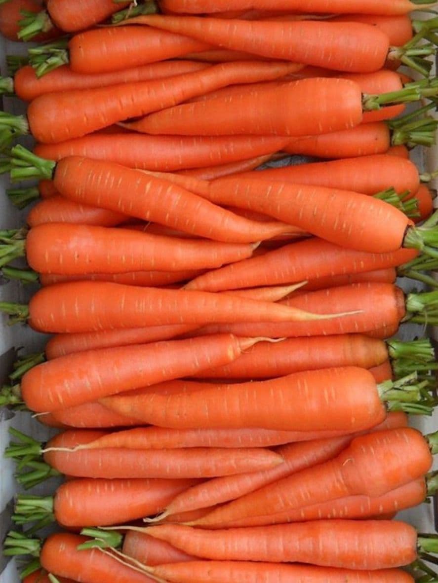 Carrots