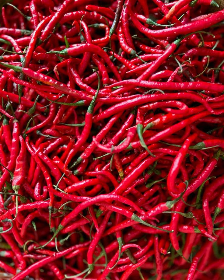 Chillies