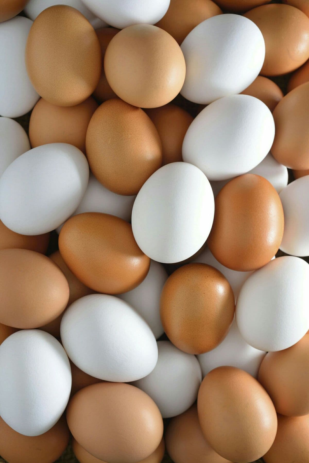 Free-Range Eggs