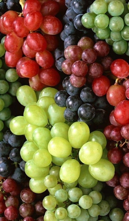 Grapes