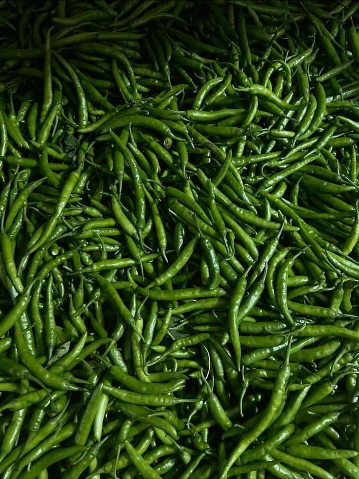 Green Chillies
