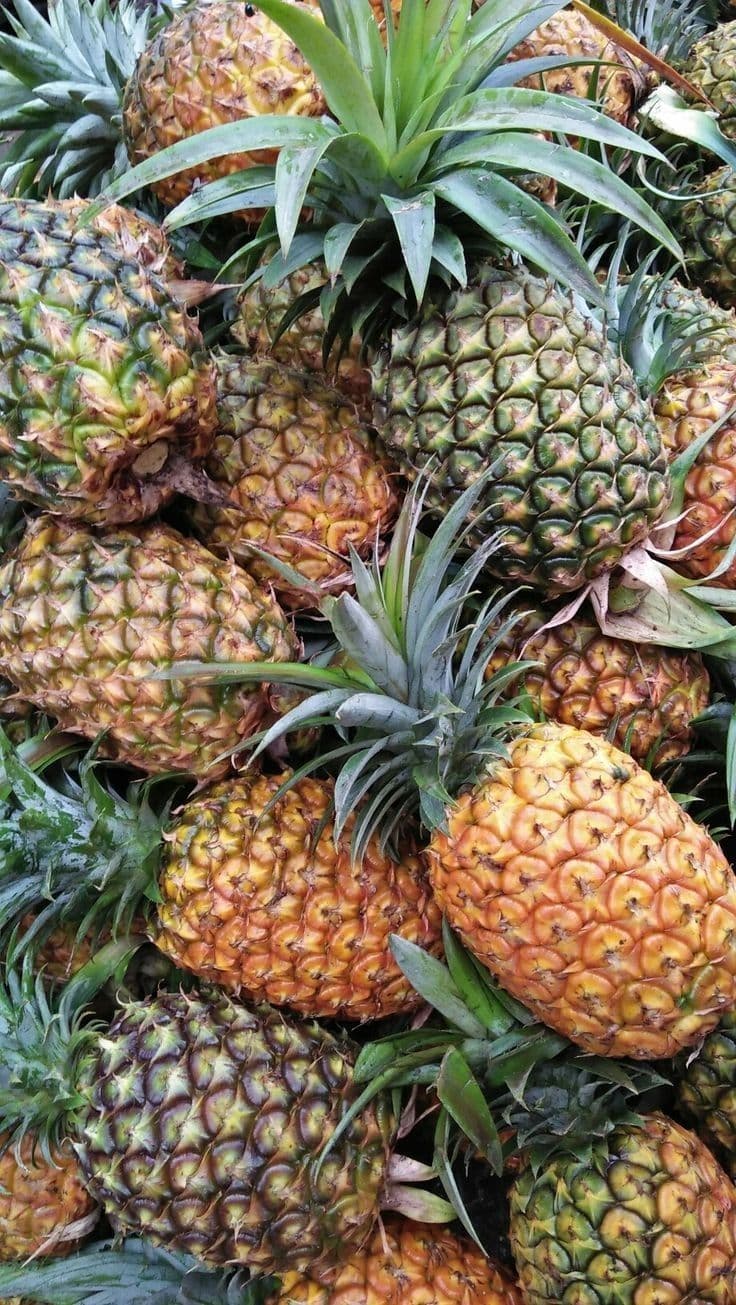 Pineapples