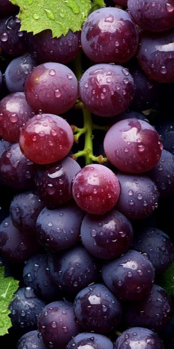 Plums