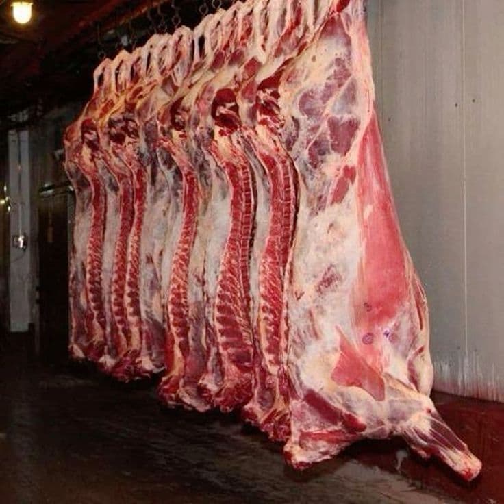 Prime Beef