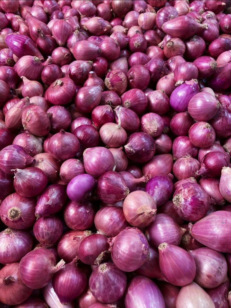 Red Onions