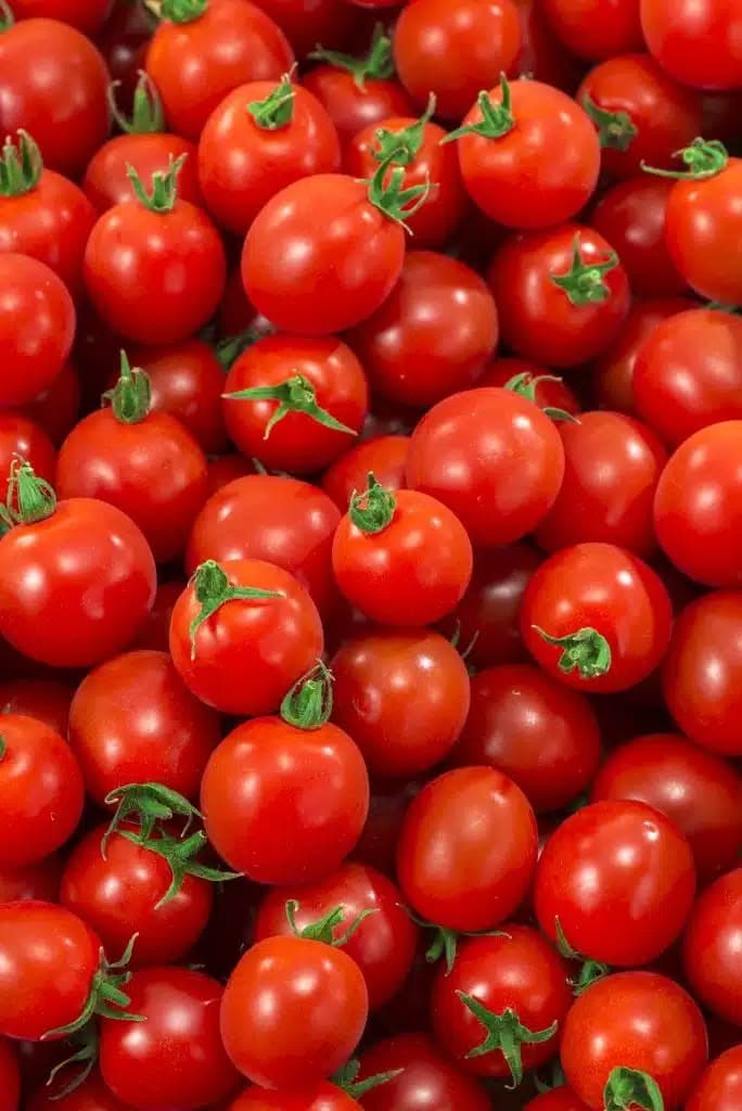 Tomatoes