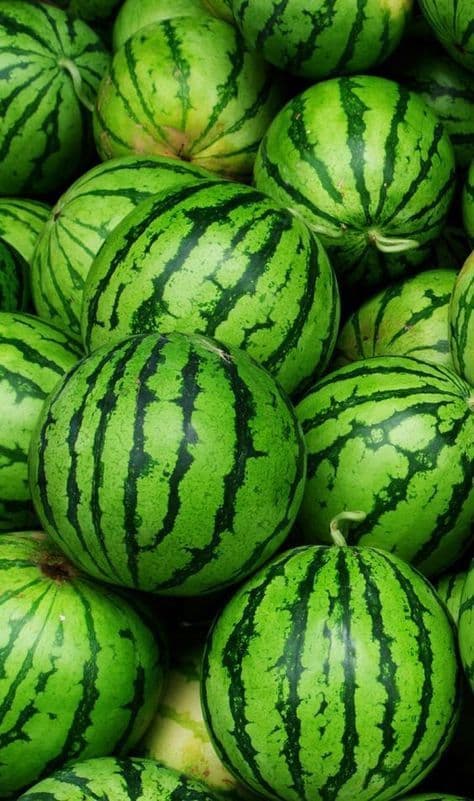 Watermelon